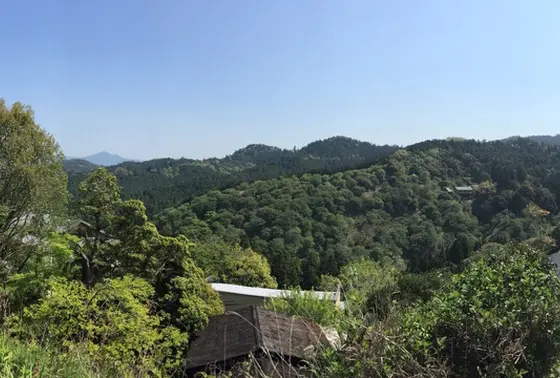 吉野山の景色