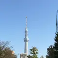 浅草花月堂 本店の写真_100151