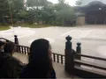 高台寺の写真_100725
