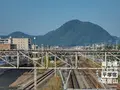 平塚市博物館の写真_101983
