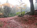 御嶽山 播州清水寺の写真_102218