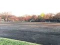 代々木公園の写真_102722