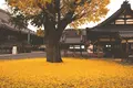 ディアンドデパートメント 京都の写真_102873