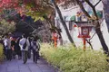 安井金比羅宮の写真_103016