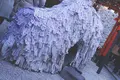 安井金比羅宮の写真_103017