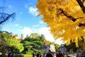 元離宮 二条城の写真_104494