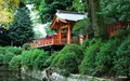 根津神社の写真_105080