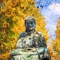 吉祥寺の写真_105348