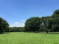 代々木公園の写真_105355