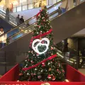 東京スカイツリーの写真_105683