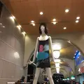 笹島からナナちゃんの写真_106176