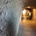 銭洗弁財天 宇賀福神社の写真_106425