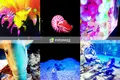 すみだ水族館の写真_106470