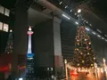 京都駅の写真_107525