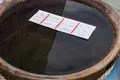 熊本城稲荷神社の写真_108646