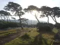 大島温泉　元町浜の湯の写真_109477