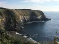 城ヶ島公園の写真_109816