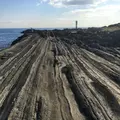 城ヶ島公園の写真_109817