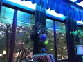 喫茶ソワレの写真_111863