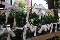 花園神社の写真_113415