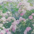 港の見える丘公園の写真_113956
