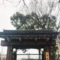名古屋城の写真_115810