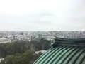 名古屋城の写真_115812