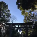 明治神宮の写真_116203