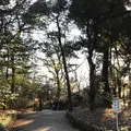 明治神宮の写真_116205