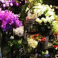 アオヤマ フラワー マーケット ティー ハウス（Aoyama Flower Market TEA HOUSE）赤坂Bizタワー店の写真_118078