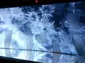 すみだ水族館の写真_121766