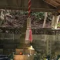曼荼羅のみち 〔熊野古道〕の写真_122350