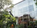 ニコライバーグマン ノム（Nicolai Bergmann NOMU ）の写真_122799