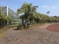八丈植物公園の写真_122920
