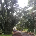 八丈植物公園の写真_122985