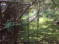八丈植物公園の写真_122986