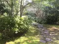 八丈植物公園の写真_122987