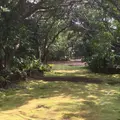 八丈植物公園の写真_122988