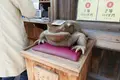 おかげ横丁の写真_123326