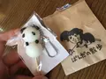 ぱんだの散歩の写真_124081