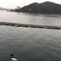 ミキモト真珠島の写真_124477