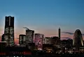 横浜港大さん橋国際客船ターミナル（大さん橋）の写真_124857