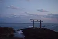 大洗磯前神社の写真_126307