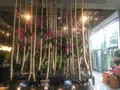 ニコライバーグマン ノム（Nicolai Bergmann NOMU ）の写真_126342