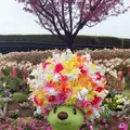 港の見える丘公園の写真_126614