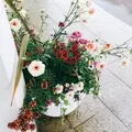 港の見える丘公園の写真_126616