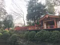 根津神社の写真_127448