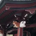 飯泉山 勝福寺の写真_129224