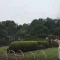 元離宮 二条城の写真_131279