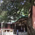円覚寺の写真_132531